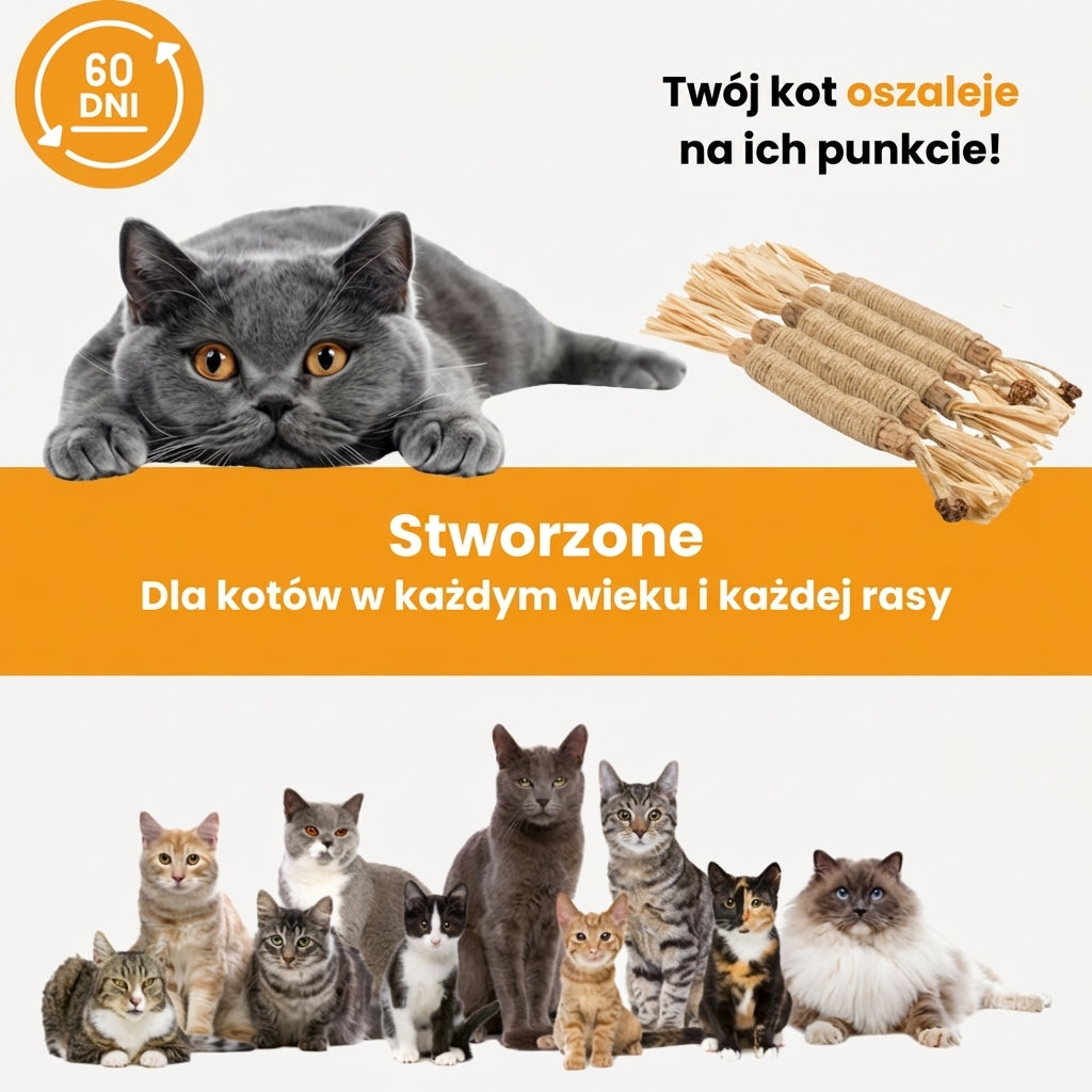 Naturalne Patyczki Dentystyczne dla Kotów - SilverPure™
