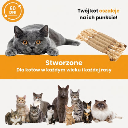 Naturalne Patyczki Dentystyczne dla Kotów - SilverPure™