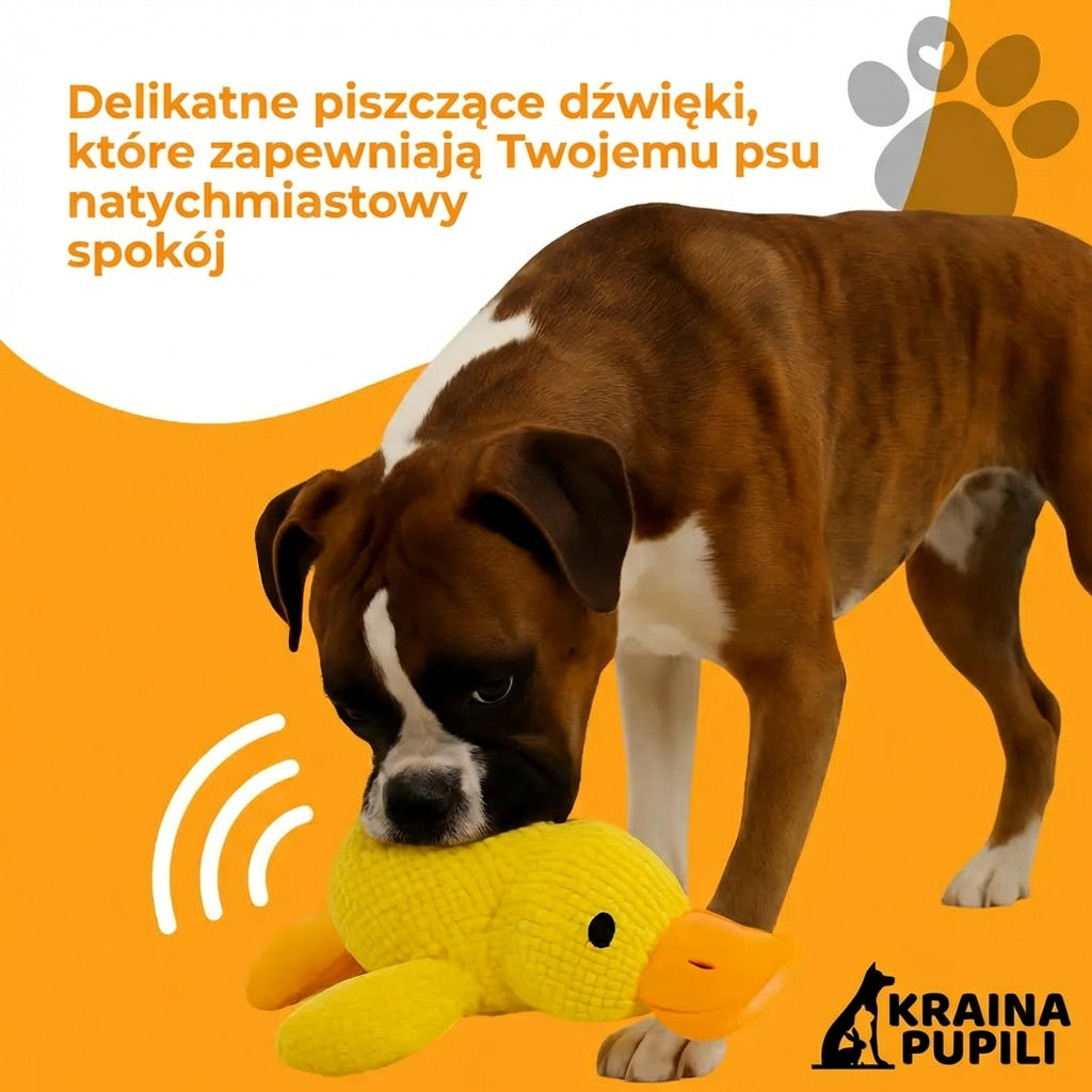 Kaczka antystresowa - Zen Kaczka™