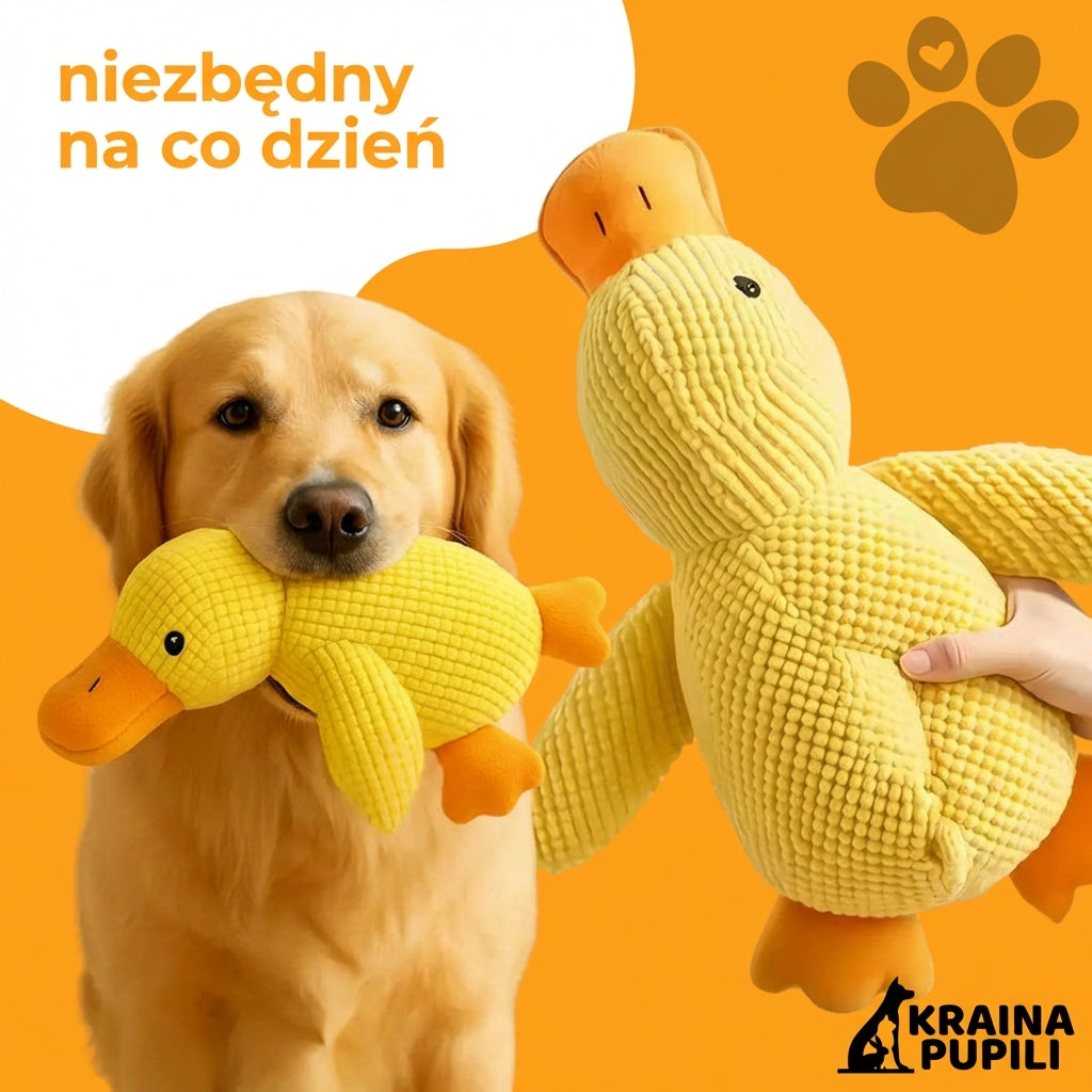 Kaczka antystresowa - Zen Kaczka™