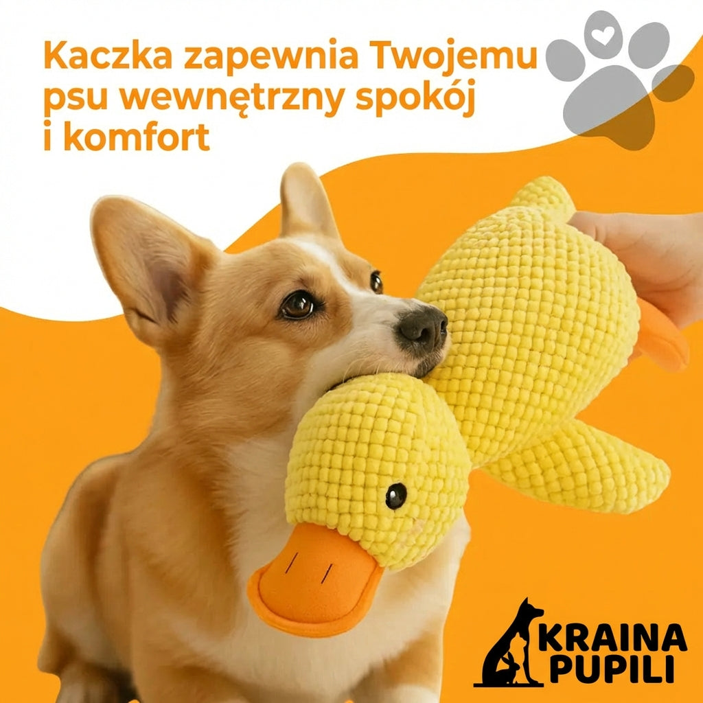 Kaczka antystresowa - Zen Kaczka™