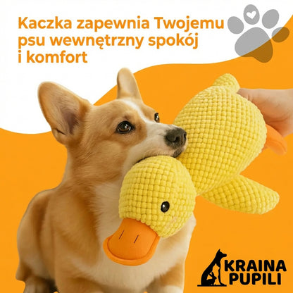 Kaczka antystresowa - Zen Kaczka™