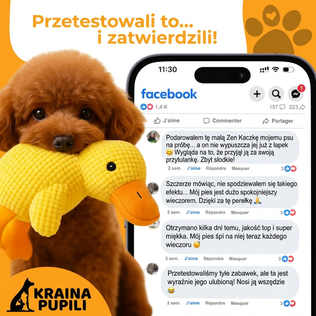 Kaczka antystresowa - Zen Kaczka™