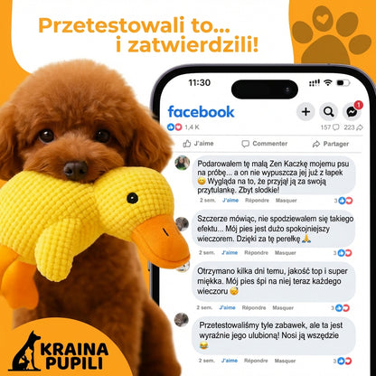 Kaczka antystresowa - Zen Kaczka™