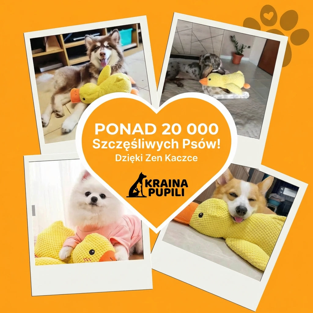 Kaczka antystresowa - Zen Kaczka™