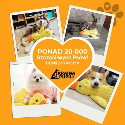 Kaczka antystresowa - Zen Kaczka™