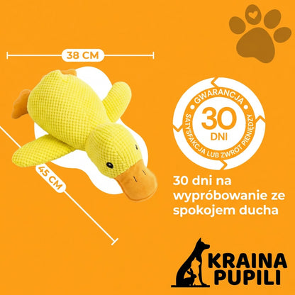 Kaczka antystresowa - Zen Kaczka™