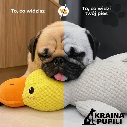 Kaczka antystresowa - Zen Kaczka™
